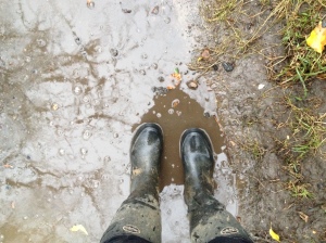 wet January walk4